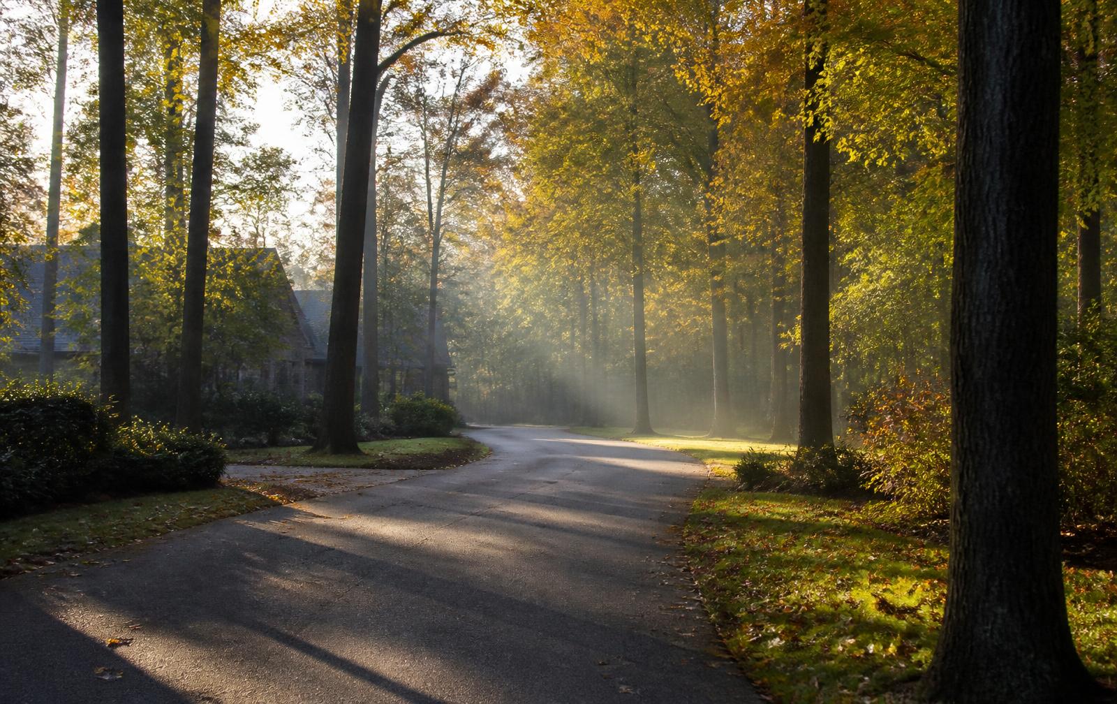 Quiet wooded residential street inside a luxury community on a misty autumn morning