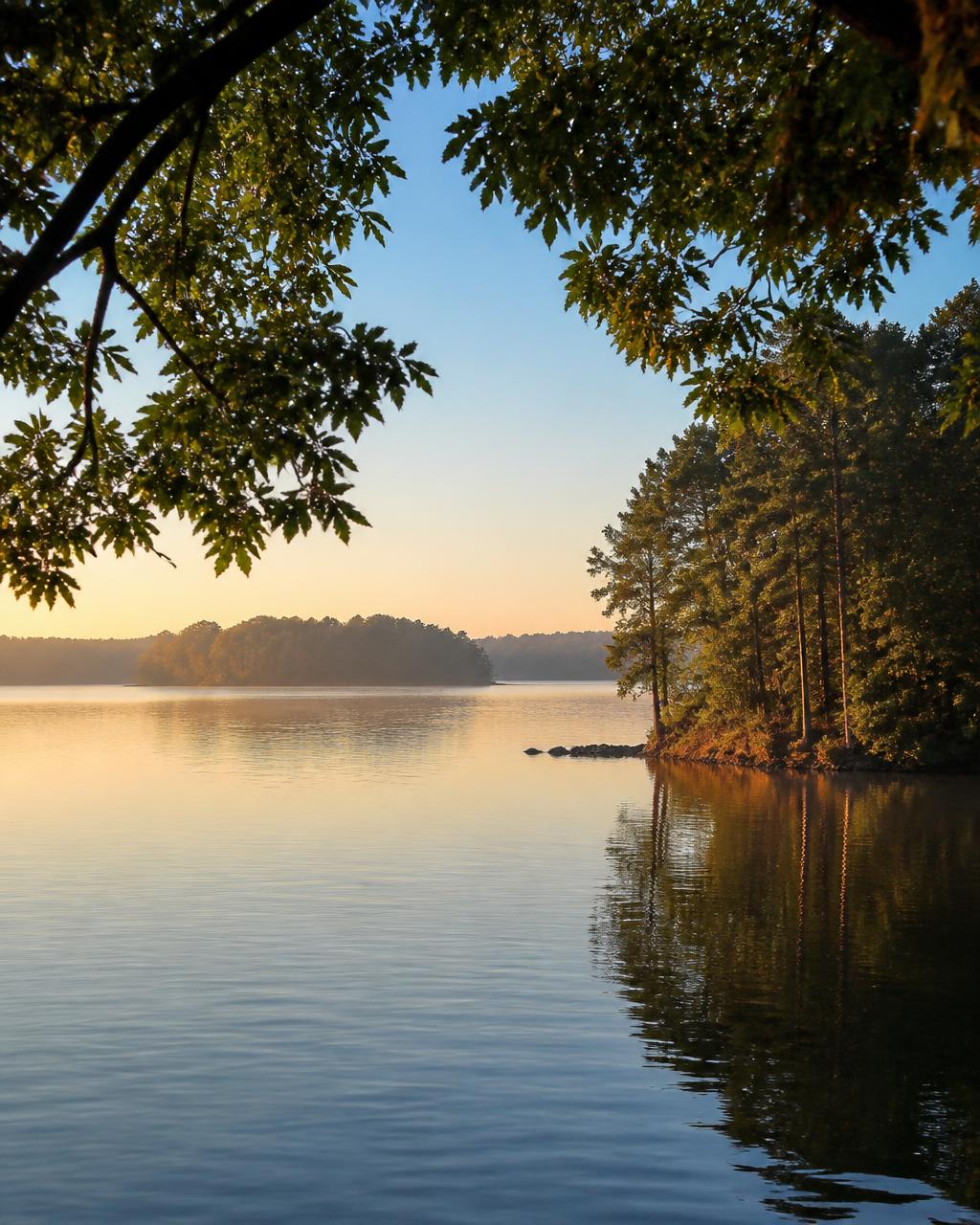 Sunrise over a quiet Lake Wylie cove at The Sanctuary, framed by overhanging hardwoods